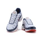 AIR MAX PLUS TN ‘USA’ - Image 2