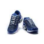 AIR MAX PLUS TN ‘ARTIC CHILL’ - Image 3