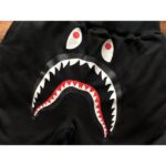 BP x OVO Reversible Pants - Image 6