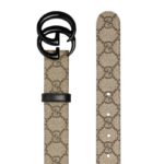 BELT - Image 2