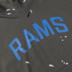 GLRY DPT HOODIE - Image 3