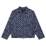 LV Monogram Denim