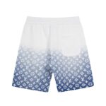 LV Shorts - Image 2