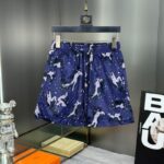 LV Shorts - Image 2