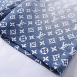 LV Shorts - Image 3