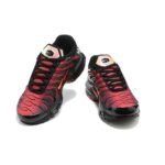 AIR MAX PLUS TN ‘DOUBLE SWOOSH’ - Image 3
