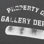 GLRY DPT Hoodie Property (2 COLORS) - Image 7