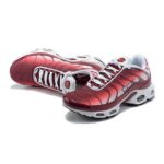 AIR MAX PLUS TN ‘DARK BEETROOT’ - Image 2