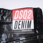 DSQ2 - Image 4
