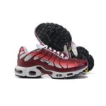 AIR MAX PLUS TN ‘DARK BEETROOT’ - Image 3