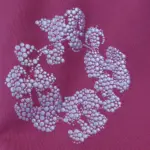 DNM TRS Cashmere Swarovski Cotton Wreath Zip Hoodie & Sweatpant Set - Image 4