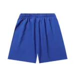 HSTR No Guts No Glory Shorts - Image 5