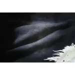 HSTR Records Shorts - Image 10