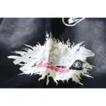 HSTR Records Shorts - Image 11