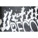 HSTR Records Shorts - Image 5