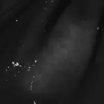 HSTR Studios Shorts - Image 11