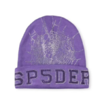 SPDR Web Beanie Purple