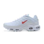 AIR MAX PLUS TN X SUPREME