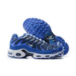 AIR MAX PLUS TN ‘ARTIC CHILL’ - Image 2