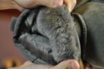 STIVALETTI IN SHEARLING - Image 24