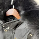MSE KNCLS JACKET - Image 5