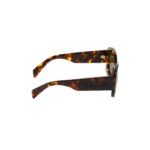 LODEN LENSES - Image 2
