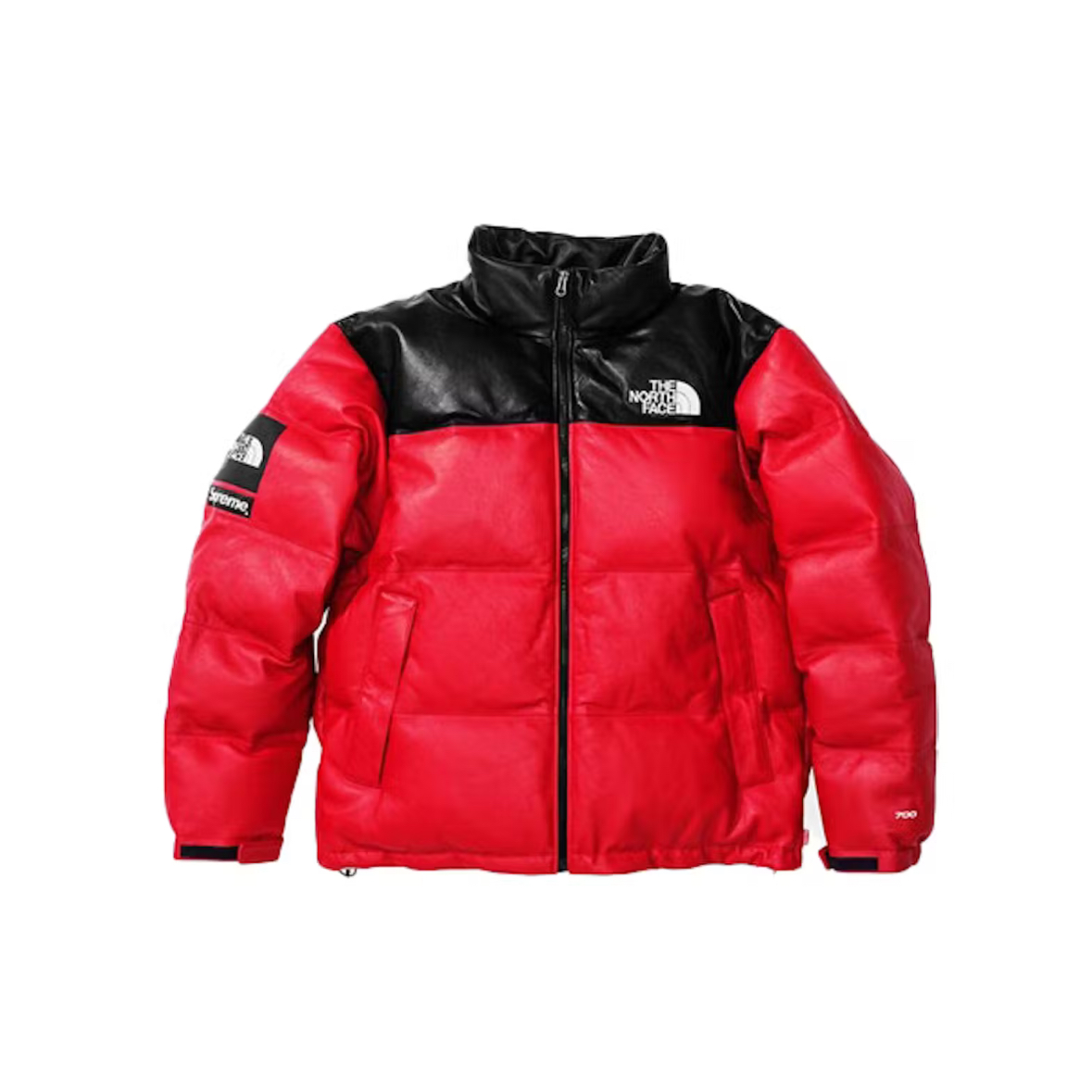 download (19) TNF X SPRM JACKET - Image 1