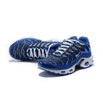 AIR MAX PLUS TN ‘ARTIC CHILL’ - Image 4
