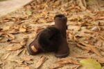 STIVALETTI IN SHEARLING - Image 3