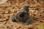 STIVALETTI IN SHEARLING - Image 2