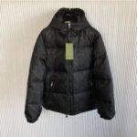 Down puffer goose-nylon GG