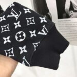 LV Hoodies - Image 5