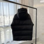 Mon puffer - Image 8