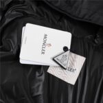 Mon puffer - Image 2