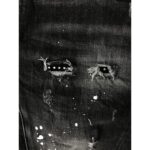 D2 jeans - Image 7