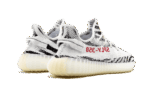 Zebra - Image 2