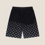 LV Shorts - Image 2