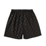 LV Shorts – Bild 2