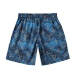LV Shorts - Image 2