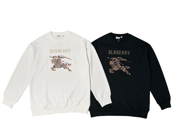 ChatGPT_Image_1_set_2026__15_30_16-removebg-preview BRBRY Hoodie - Image 1